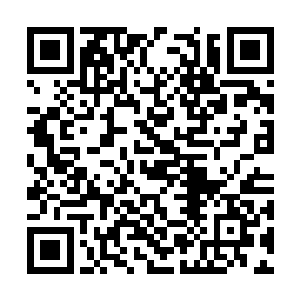 那连记忆都没有完全知道的血妖姬那是真没啥用处二维码生成