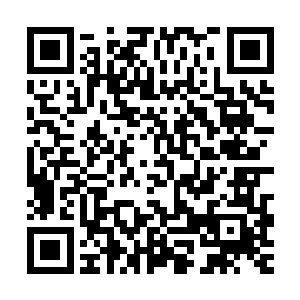 那追魂灵蝶就会与喂食它鲜血的骑士建立起一种奇妙的心灵联系二维码生成