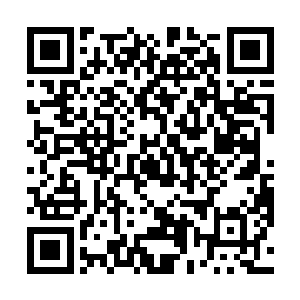 那道喷射出绿光的翎毛正是孔雀大明王赐给她的孔雀翎二维码生成