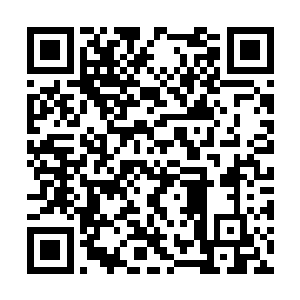 那道灵光在半空中竟然幻化成一只巨大的火焰凤凰二维码生成