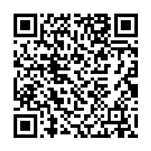 那道让司马十七郎感动不已的圣旨还是卢八娘伪造的二维码生成