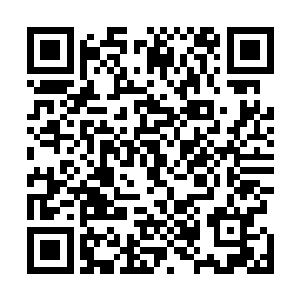 那道闪烁着白色光芒的法则印记朝着佘老所在的方向打去二维码生成