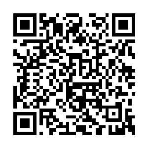 那道黑红光辉也跟那道血光重重的撞击在了一起二维码生成
