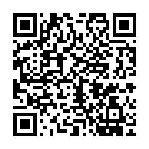 那道黑红色的巨大身影竟是毫无还手之力就被数股血红匹练撕开二维码生成
