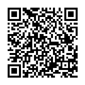 那遗传工程实验室起码得有上百号人进行胚胎移植的工作二维码生成