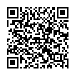 那遮天也般的巨大身躯完全将弱小的许紫烟的身躯笼罩二维码生成