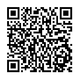 那遮天的大手掌再一次扇向了那个已经失去了半天命的天尊初期二维码生成