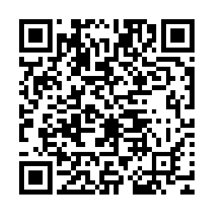 那里三层外三层包围着的警车就像是装饰品那样弱得不堪一击二维码生成