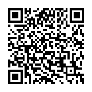 那里像沼泽地似的令他触摸到了一种死亡的窒息二维码生成