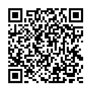 那里应该是和你一起来自世俗界周家的周子媚和周浩两个人吧二维码生成