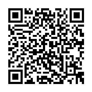 那里早就被人族先辈们施以手段搞的空荡荡一片二维码生成