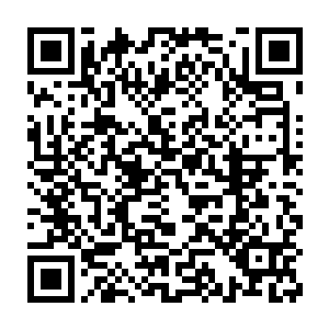 那里是差点滑了一跤的地方……一种淡淡的沧桑忽然在孟奇心中泛起二维码生成