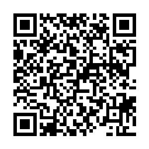 那里有一位大儒和六位大学士被西海龙圣的圣道力量迷惑二维码生成