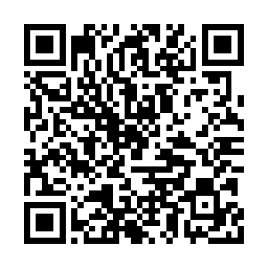 那里有数不清的财富和迷人的各族姑娘……泰瓦二维码生成