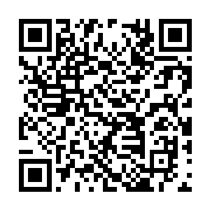 那里汇聚着多元宇宙最强最富有战斗经验的一批人二维码生成