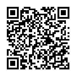 那里的异兽正是对应着二十八宿中的玄武和青龙的方位二维码生成