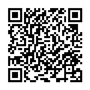 那里的环境的确比县医院还有省会的精神病院要好得多二维码生成