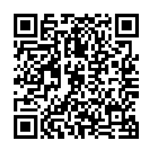 那里的顶尖高手最后都会通过海域风暴去往其他三片海域的二维码生成