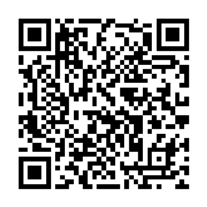 那里边传来的刺鼻焦臭味道让赵虎难过的皱着眉目二维码生成