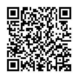 那金刚手环正安安稳稳的在一个正在学走路的小女孩手中套着二维码生成
