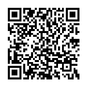 那金刚神卫虽说只是一个刚刚修炼成的下等神卫二维码生成
