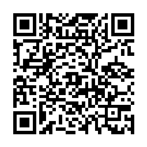 那金甲巨神的右臂竟然就这么直接被那金人给生生拧断二维码生成