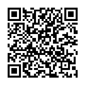 那金甲巨神肩膀上的禺狨王却是察觉到了死亡危机的来临二维码生成