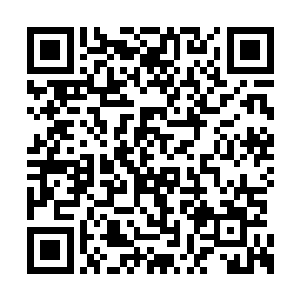 那金色大鹏并没有敢硬接双头鹰释放出来的法术二维码生成