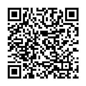 那金黄血液怕是天龙之血……大鹏克制真龙蛟蛇之属二维码生成