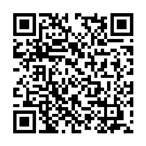 那钟林海刚刚弹起来的身体又被狠狠的砸落在地上二维码生成