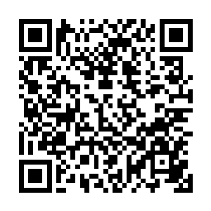 那铠甲男子一看就知道是皇族被派守在神纹师工会外的将军二维码生成