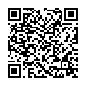 那长达五六米的火焰刀芒便直接如同利刃切菜一样二维码生成