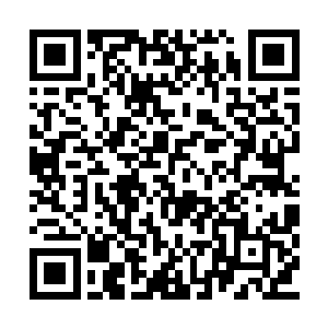 那门空间秘术乃是蛮荒大陆青蛟一族的镇族之宝二维码生成
