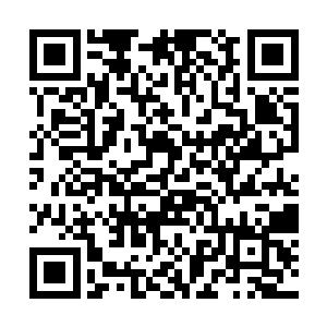 那闪电长鞭的鞭梢擦着蚩寅的其中半边一只翅翼而过二维码生成