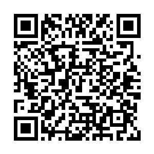 那阴沉的眼神仿佛即将要绽放出可怕的杀伐攻击二维码生成
