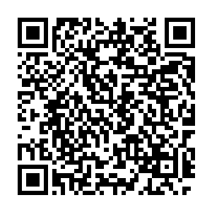 那陆为民依然不屈不挠的要把这个方案提交到常委会上又有多大意义二维码生成