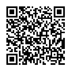 那隐藏在斗篷下的双目一瞬不瞬的盯着剑尘身上的遁天神甲二维码生成