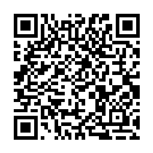 那隐藏在青蓝剑鞘中的长剑竟然是一把阴森森的白骨二维码生成