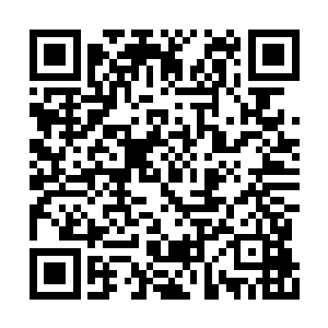 那雪白莹润的大腿让林晓夕看起来显得秀色可餐二维码生成