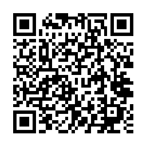 那雷虎跟雷鸟也重重撞击在了那如同城墙一样横跨了整个星空二维码生成