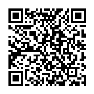 那雷霆无论怎么劈下来都不能将这梅花的枝干给劈断二维码生成