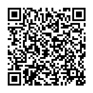 那青丘狐族挑起花果山和二郎神之间纷争的阴谋很有可能就已经成功了二维码生成