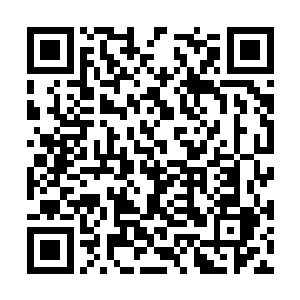 那鞋子明明精致小巧不是夕纪子能驾驭得了的尺寸二维码生成