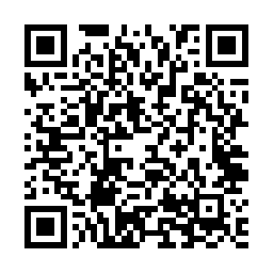 那鞭上附带的裂神效果依然让黑夜老祖的神魂痛苦无比二维码生成