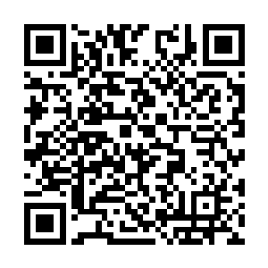 那韩风既然敢让我们拥有高贵血脉的龙族沦为坐骑二维码生成