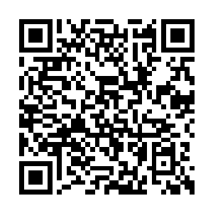 那颗原本已经沉到谷底的心便又怂恿着复苏起来二维码生成