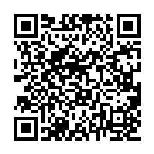 那颗奇怪宝石之上有着许许多多星星点点的刻痕二维码生成