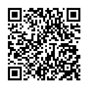 那颗小树所能生长出来的野狼七力果的最大数量是九颗二维码生成