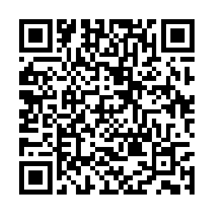 那颗微笑的头颅冲着奥利维亚的方向砸了过来――二维码生成