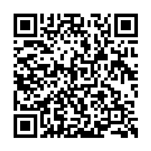 那颗消失已久的禁药的药素残留在小奶娃的体内二维码生成